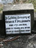 image of grave number 840490